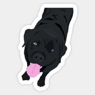 Black Labrador Sticker